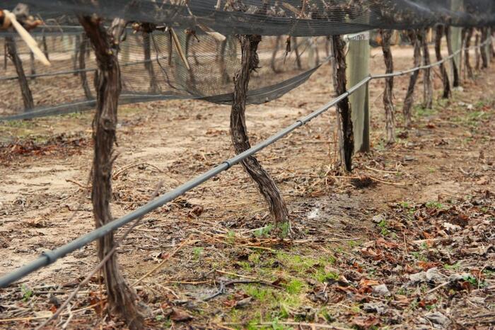 Expo Agua 2024: destacados especialistas enriquecerán el debate