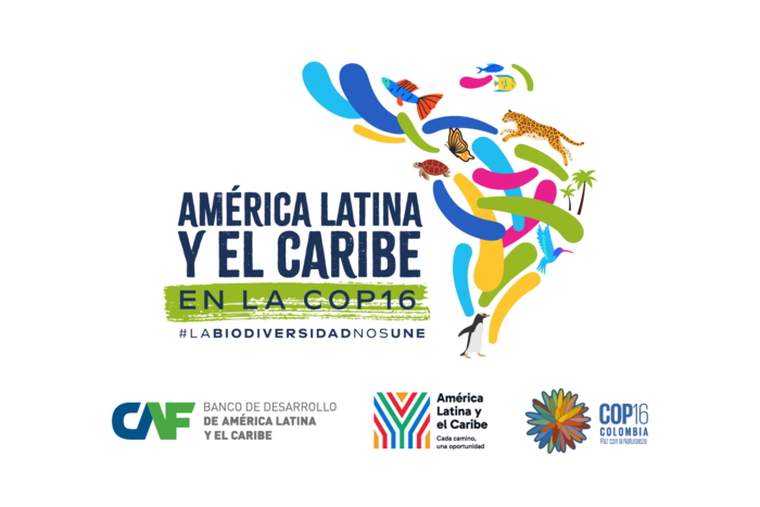 LA VOZ DE AMERICA LATINA Y EL CARIBE EN LA COP16