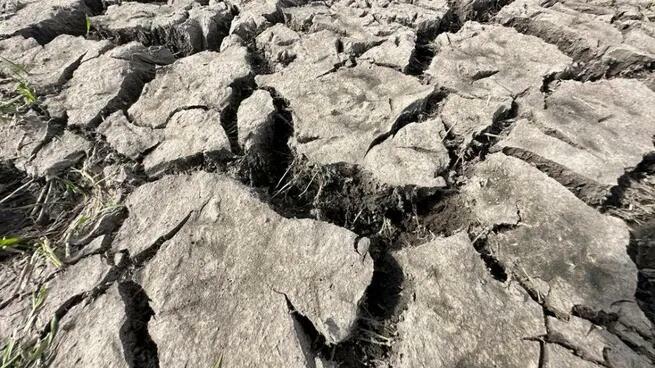 La CAF advierte sobre los desafíos de la región para hacer frente a la crisis climática