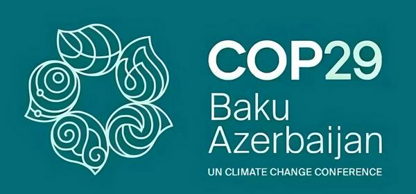 Seminario sobre los resultados de la COP 29