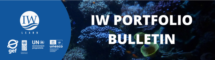 IW PORTFOLIO BULLETIN